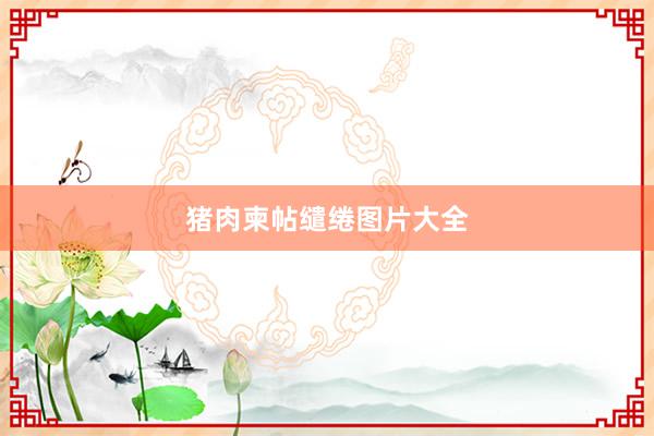 猪肉柬帖缱绻图片大全