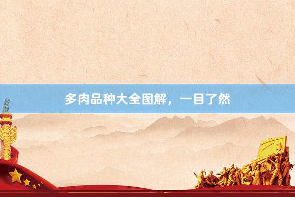 多肉品种大全图解，一目了然
