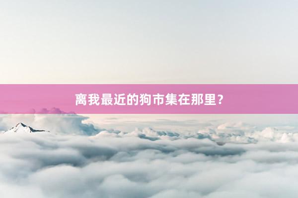 离我最近的狗市集在那里？