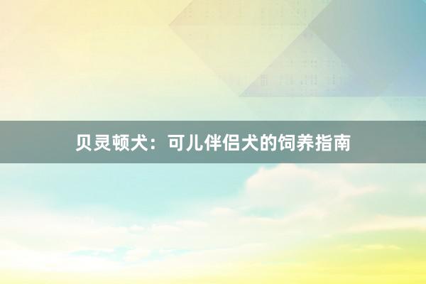 贝灵顿犬：可儿伴侣犬的饲养指南
