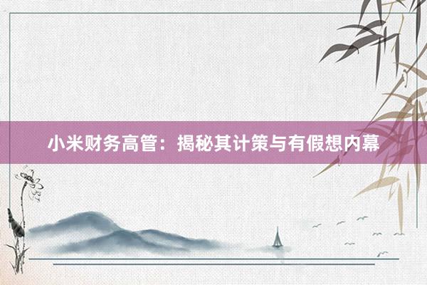 小米财务高管：揭秘其计策与有假想内幕